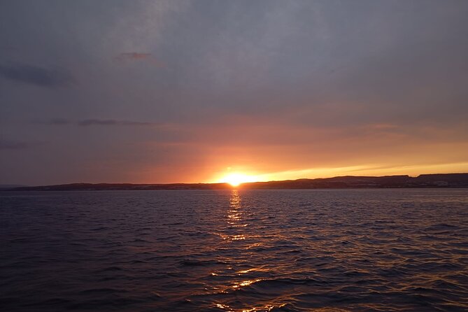 Dolphins and Sea Boat Adventure in Manilva Coast - Two hours beside the Manilva Coast