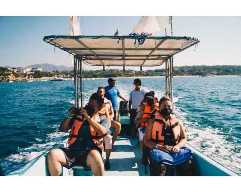 Dolphins and whales watching in Puerto Escondido. - Why this morning boat trip appeals