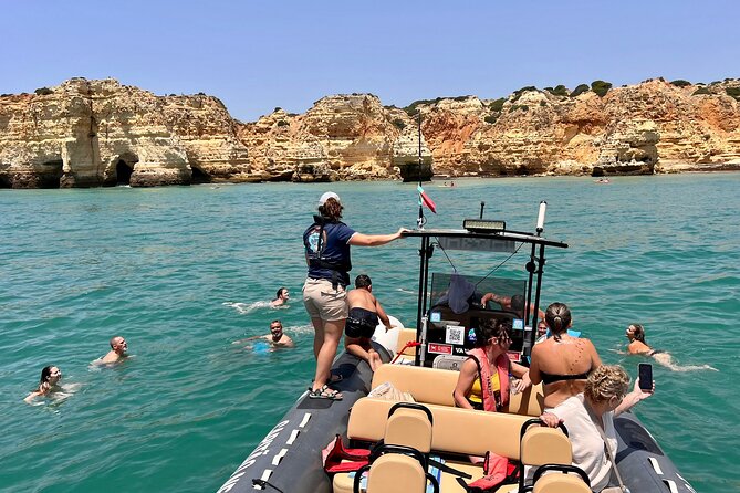 Dolphins & Benagil Caves with Biologist guide - Searching for dolphins with a biologist