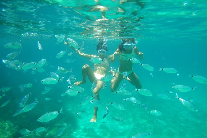 Dolphins Circus tour in Small group - Beaches, bays, and small islands reached by boat