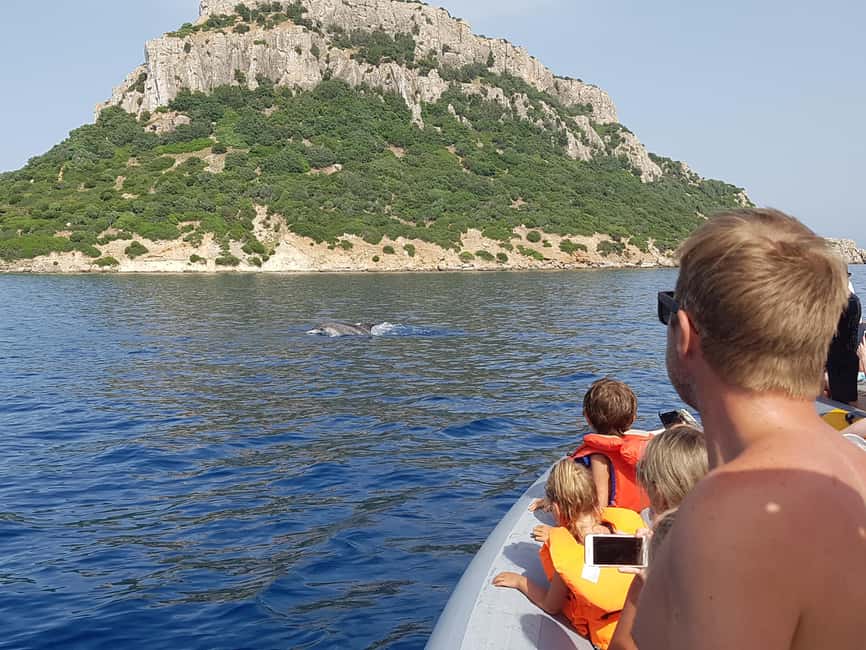 Dolphins: Dolphin Watching Tour and Capo Figari by Raft - Key points to know before you go