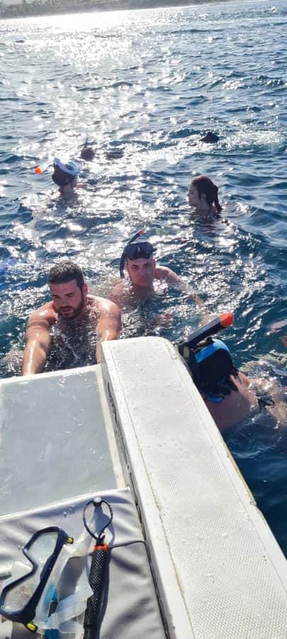 Dolphins: Private, Snorkel, CrystalRock, ileoBenitiers,lunch - Key points at a glance