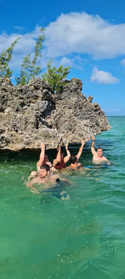 Dolphins: Private, Snorkel, CrystalRock, ileoBenitiers,lunch - Starting from Tamarin or La Preneuse