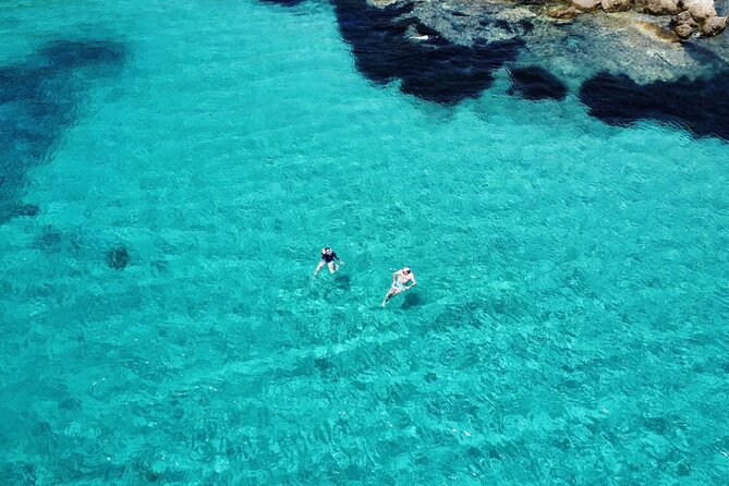 Dolphins Rib boat (up 6 people) Private - Costa Smeralda Coves From the Water