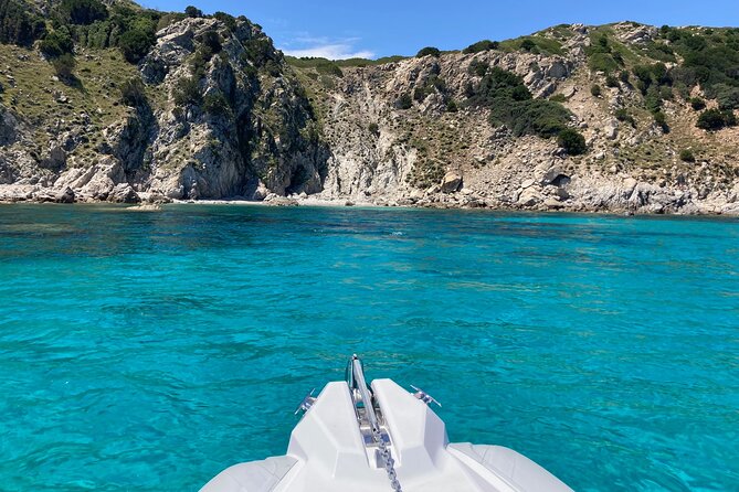 Dolphins Rib boat (up 6 people) Private - Is $417 Good Value for Your Group?