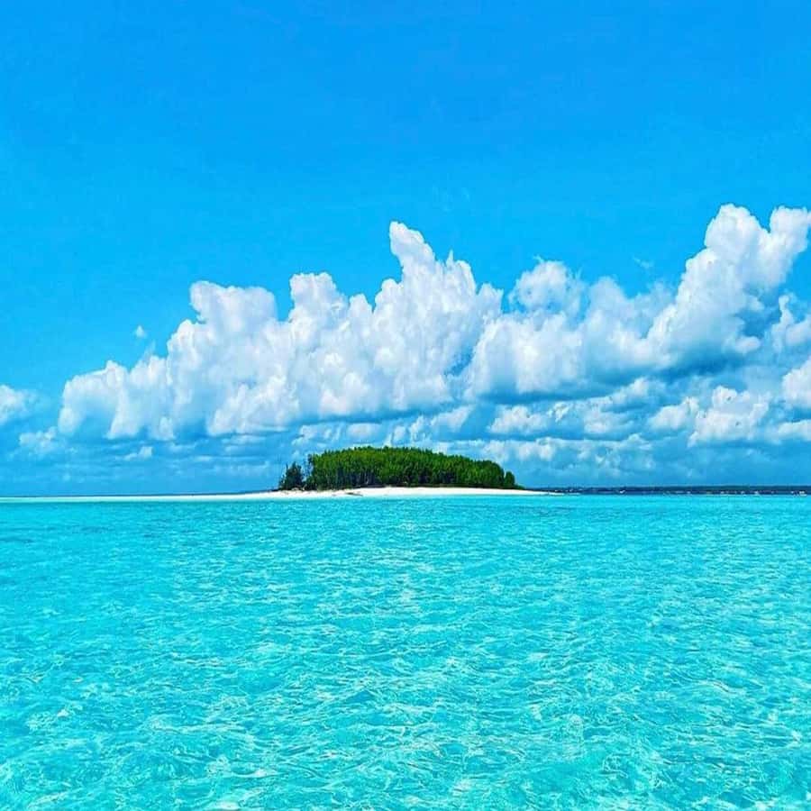 Dolphins & Snorkeling Zanzibar: Mnemba Island Tour - One hour of dolphin watching near Mnemba