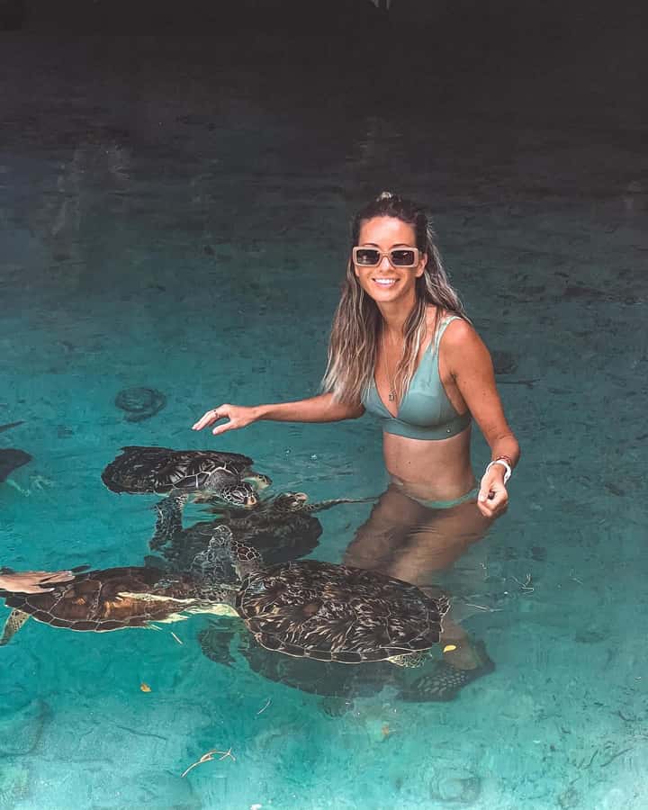 Dolphins tour + mnemba island snorkeling + salaam turles - What this Zanzibar day is really about