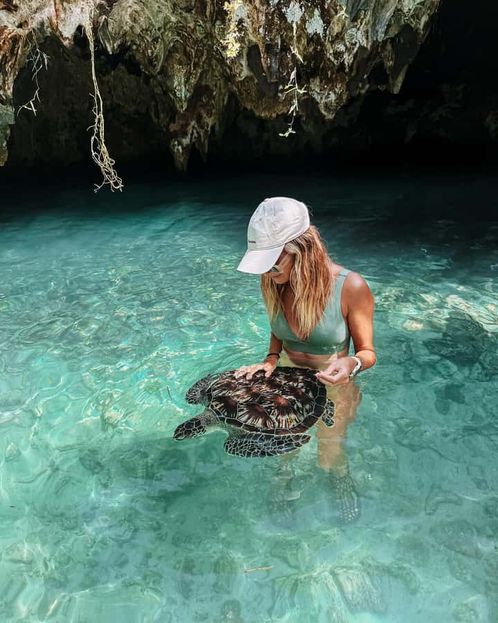 Dolphins tour + mnemba island snorkeling + salaam turles - Searching for dolphins near Mnemba