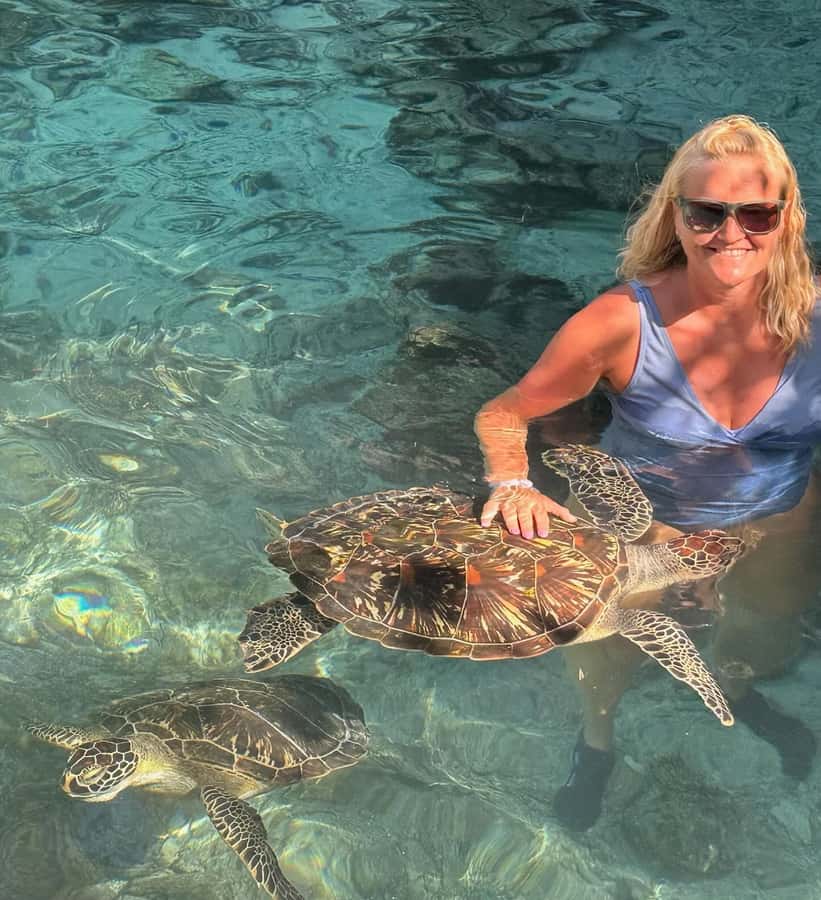 Dolphins tour + mnemba island snorkeling + salaam turles - Pickup from your hotel and the road to the coast