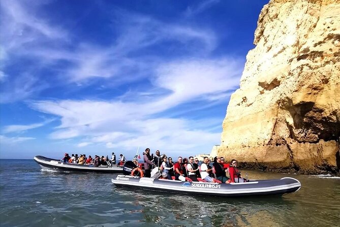 Dolphins Watching - A Fast Return and a Comfortable Ride