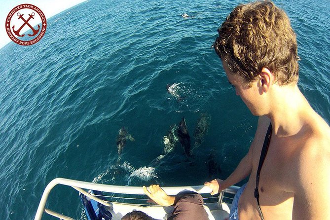 Dolphins Watching in the National Park Brijuni from Pula - Key things to know before you book