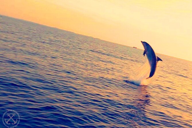 Dolphins Watching in the National Park Brijuni from Pula - Unlimited drinks and the evening atmosphere