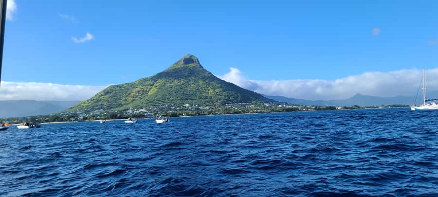 Dolphins & Whales, Private Tour Snorkeling - Whale watching with a careful skipper