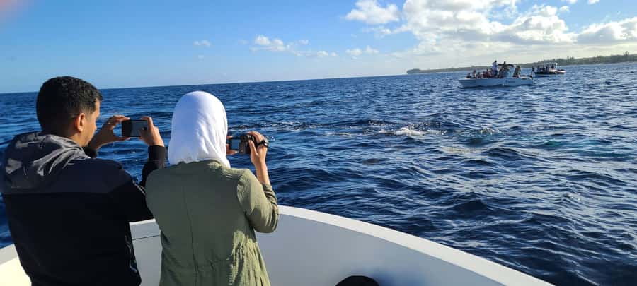 Dolphins & Whales, Private Tour Snorkeling - Practical preparation for a better morning