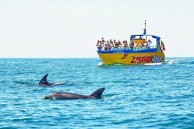 Dreamer Cave and Dolphins Boat Tour Ticket Albufeira - Five things to know before you book