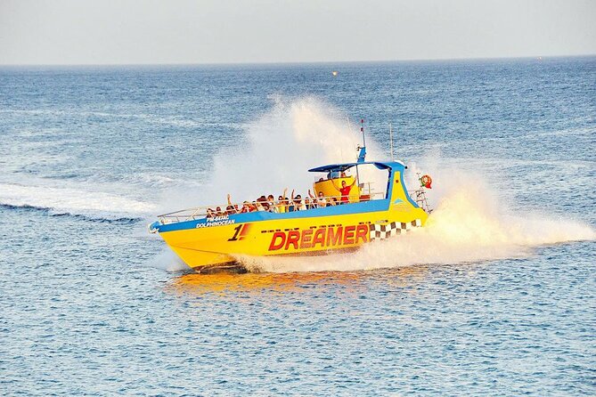Dreamer Cave and Dolphins Boat Tour Ticket Albufeira - Weather, Comfort, and Safety