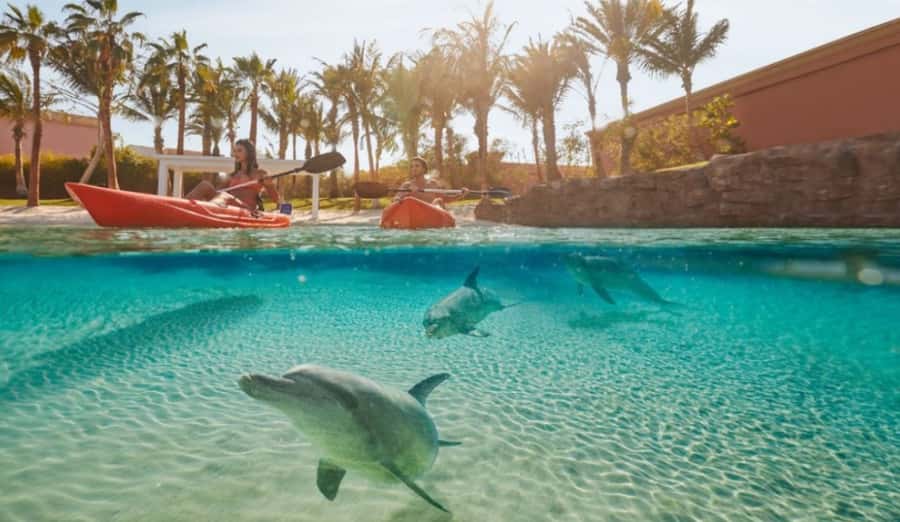 Dubai: Atlantis Dolphin Kayak Trip & Aquaventure Waterpark - Key Points to Know Before You Go