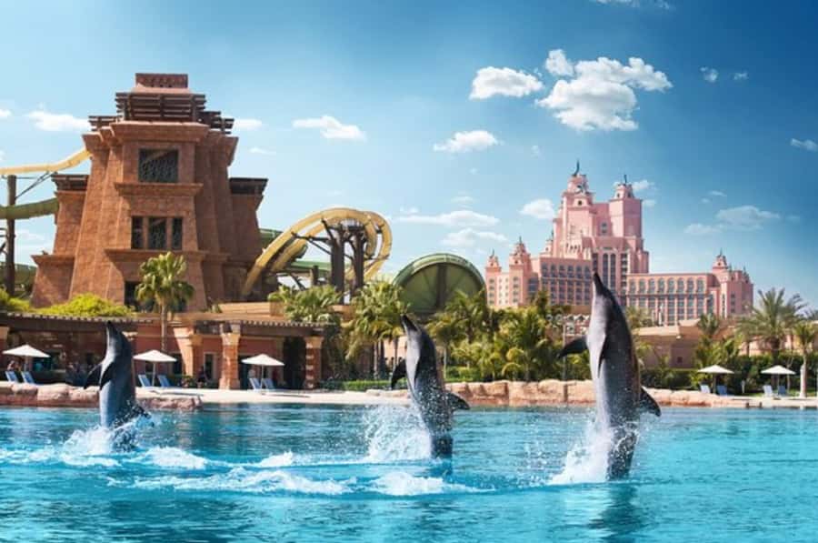 Dubai: Atlantis Dolphin Kayak Trip & Aquaventure Waterpark - What You Are Really Paying For at $135