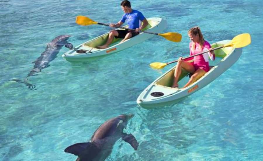 Dubai: Atlantis Dolphin Kayak Trip & Aquaventure Waterpark - The Safety Briefing Sets the Tone