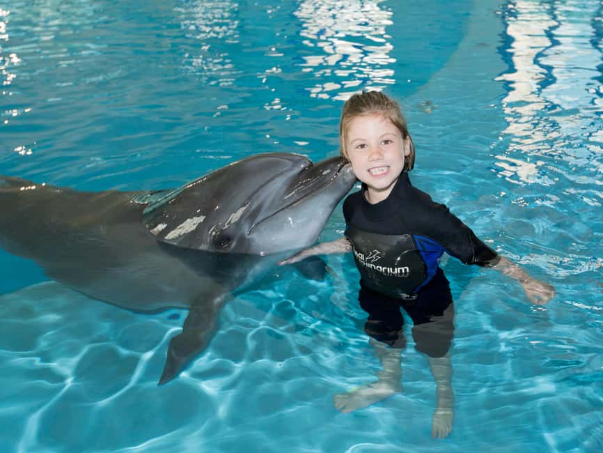 Dubai: Dubai Dolphinarium Dolphin, Seal & Bird Show Tickets - The exotic bird show and its mixed reception