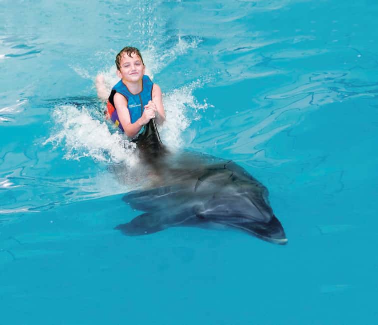 Dubai: Dubai Dolphinarium Dolphin, Seal & Bird Show Tickets - Should you book it?
