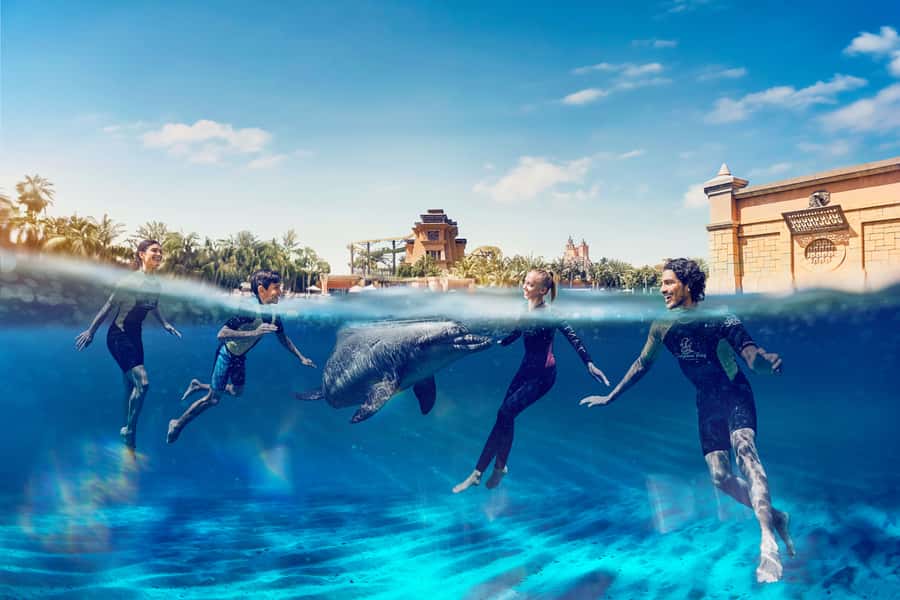 Dubai: Swim with Dolphins at Atlantis Waterpark - Key points before you book
