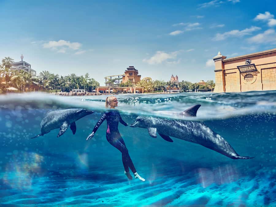 Dubai: Swim with Dolphins at Atlantis Waterpark - The 15-minute briefing matters