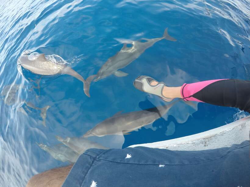 Dumaguete: Dolphin Watching & Manjuyod Sandbar Private Tour - The five details that matter most