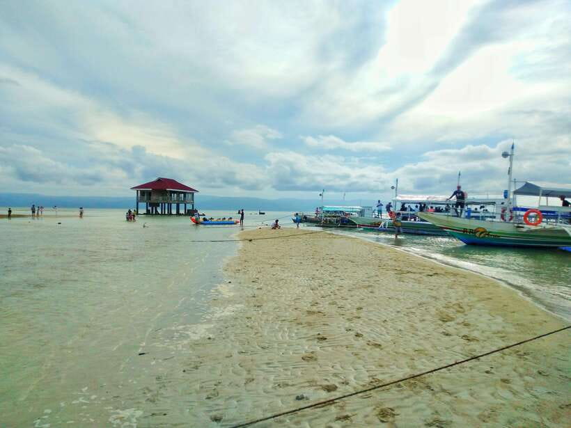 Dumaguete: Dolphin Watching & Manjuyod Sandbar Private Tour - Who will enjoy this private trip most?