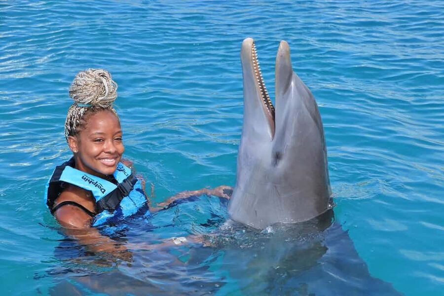 Dunn’s River Falls and Dolphin Cove Swim Adventure - Key points to know before booking