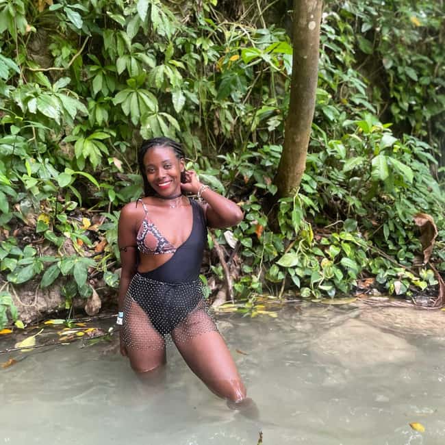 Dunn’s River Falls and Dolphin Cove Swim Adventure - What happens during the dolphin swim