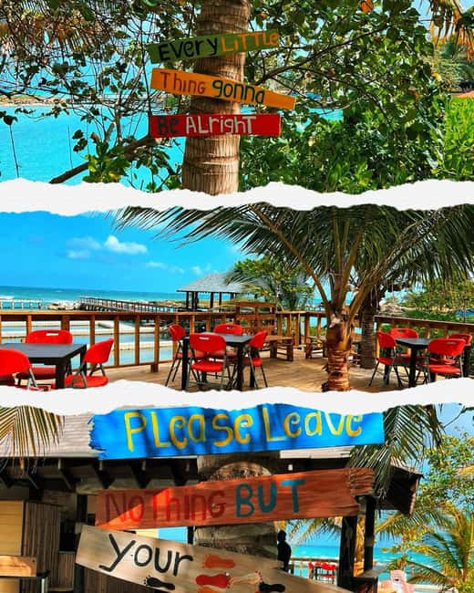 Dunn’s River Falls and Dolphin Cove Swim Adventure - What else you can do at Dolphin Cove