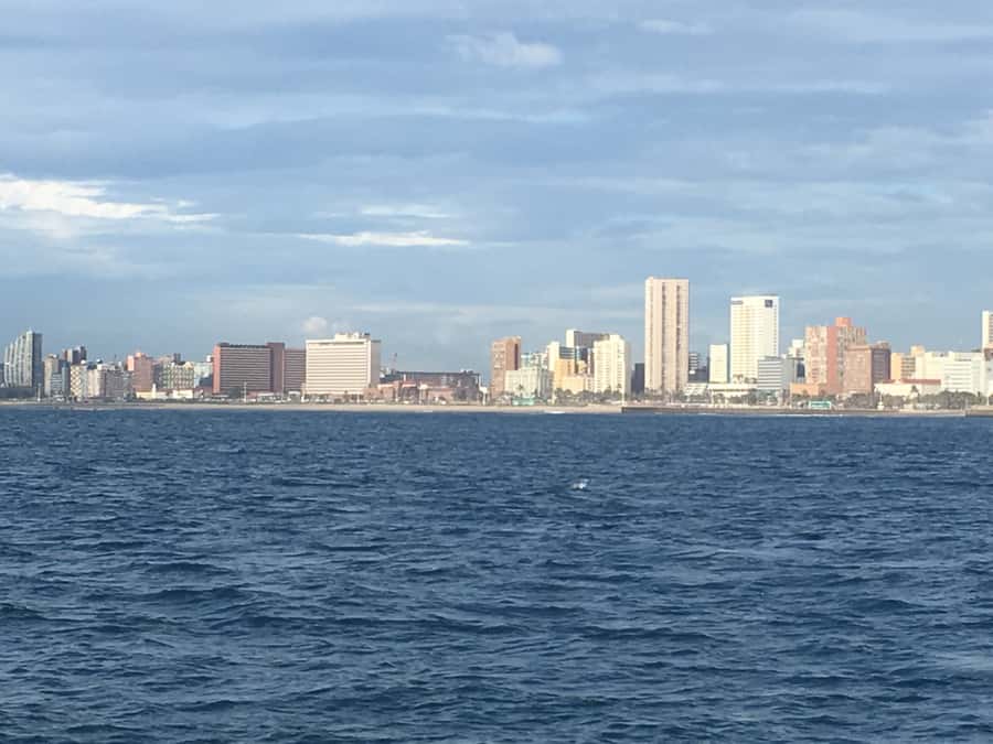 Durban: Durban: Whale and Dolphin Watching Boat Tour - The guide can shape the whole trip