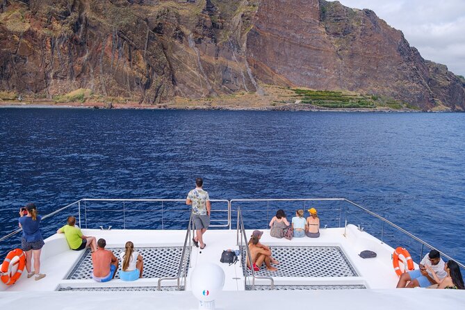 Eco-Friendly Catamaran Dolphin and Whale Watching - Setting out from Funchal Marina