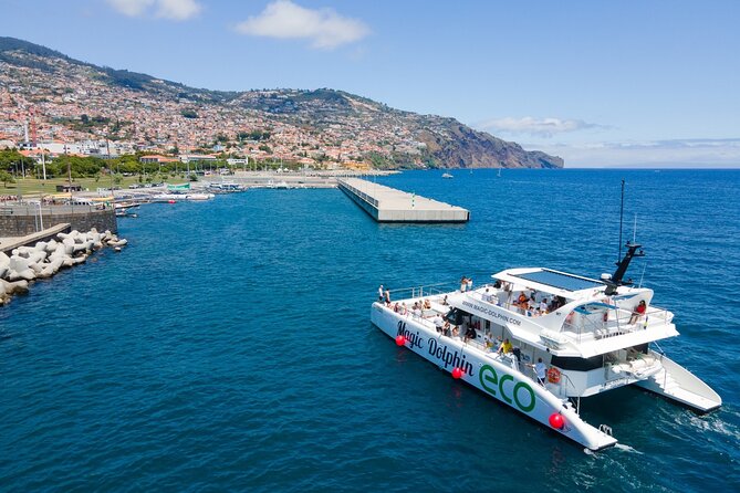 Eco-Friendly Catamaran Dolphin and Whale Watching - Cabo Girão and Madeira’s south coast