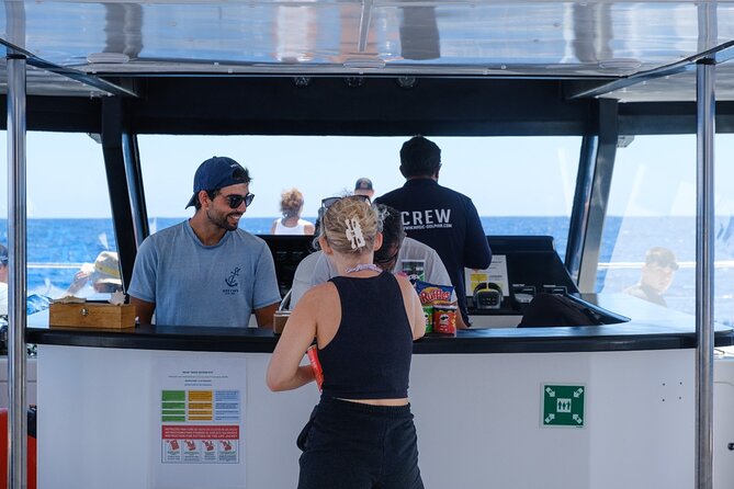 Eco-Friendly Catamaran Dolphin and Whale Watching - The onboard guide and commentary