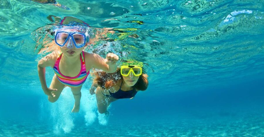 Emerald Coast: Afternoon Snorkel & Dolphin Tour - Searching for dolphins near Fort Walton Beach