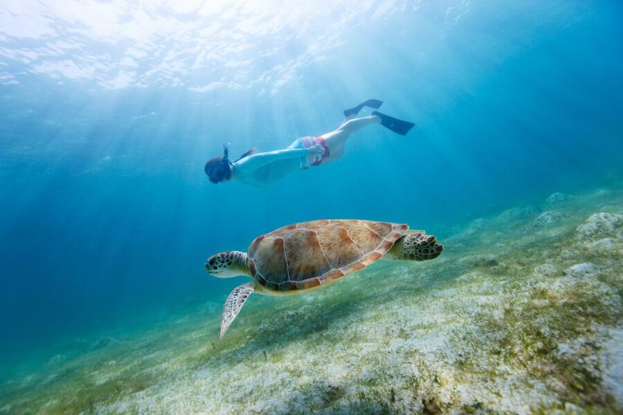 Emerald Coast: Afternoon Snorkel & Dolphin Tour - The ride along the Emerald Coast