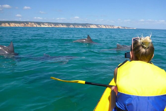 Epic Kayak With Dolphins & Wildlife - 4WD Beach Adventure Noosa - Key points to know before you book