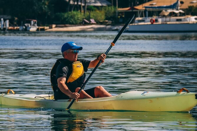 Epic Kayak With Dolphins & Wildlife - 4WD Beach Adventure Noosa - Wildlife watching from the kayak
