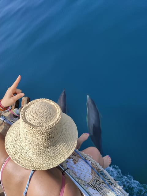 Estepona: Dolphin Search Boat Trip with Drink and Snacks - Who will enjoy this trip most?