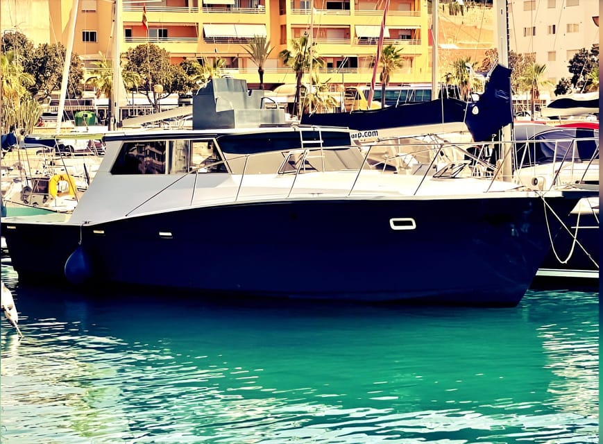 Estepona: Dolphin Searching Sunset Cruise with Drink & Snack - What the $41 Price Really Gives You