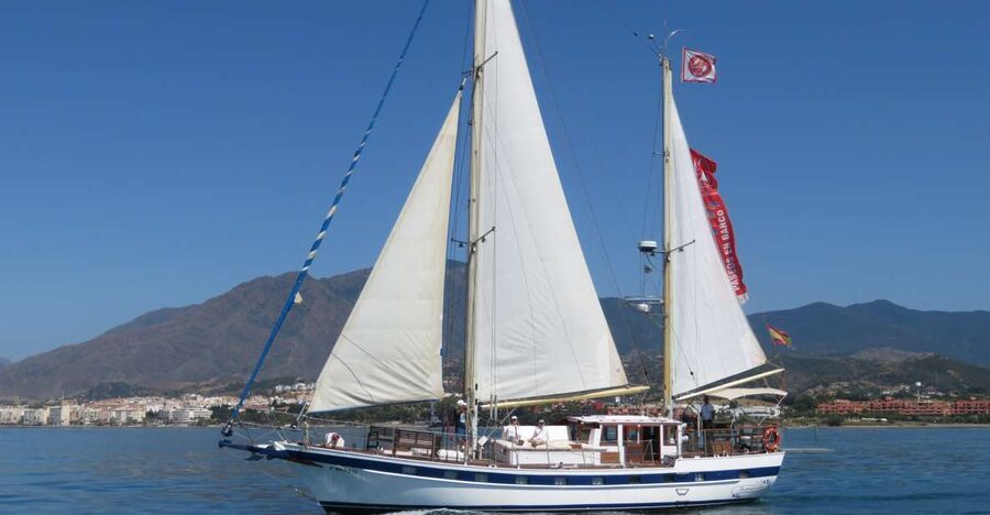 Estepona: Dolphin Watching Sailboat Cruise with Drink - Searching for dolphins in Estepona Bay