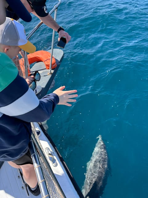 Estepona: Dolphins Searching Sea Cruise with Drink & Snacks - The swim stop depends on the weather