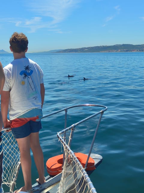 Estepona: Dolphins Searching Sea Cruise with Drink & Snacks - How the $41 price measures up