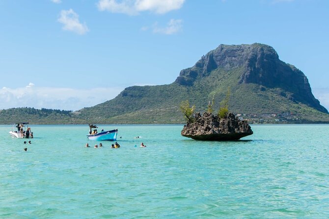 Exciting Dolphin encounters in the Maurtius's lagoon - Leaving from La Preneuse between 7:30 and 9:30 AM