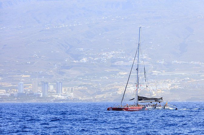 Exclusive Freebird Catamaran Whale and Dolphin Cruise to Caleta - What the $58.07 price includes