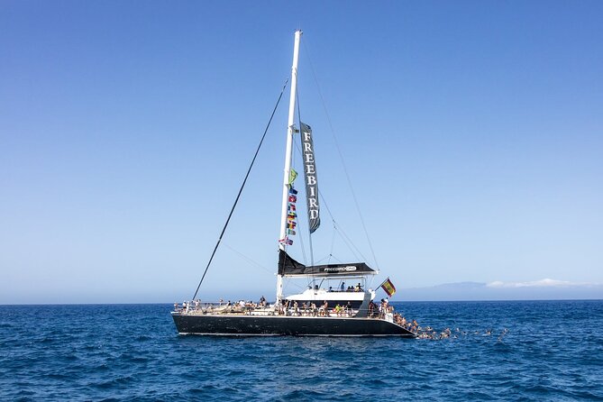 Exclusive Freebird Catamaran Whale & Dolphin to Masca From South - Setting out from Puerto Colón at 11:20