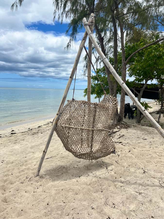 Exclusive:full-day/Dolphins watch& swimming Crystal Rock+Bbq - What the $293 price means for value