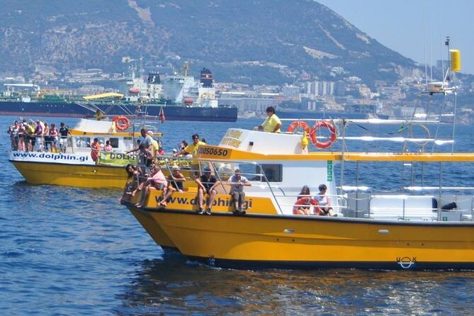 Excursion to Gibraltar with Dolphin Watching from Malaga - What this Malaga excursion actually gives you